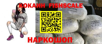jwh Кингисепп