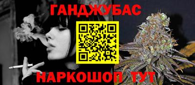 jwh Кингисепп