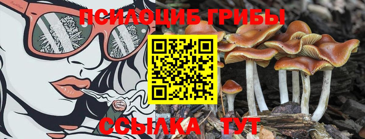 Галлюциногенные грибы GOLDEN TEACHER  Вход с VPN  Кострома 