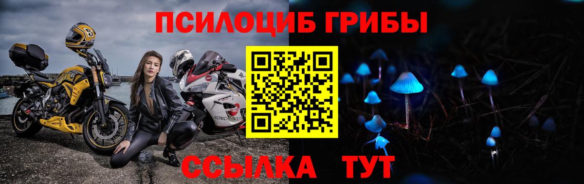 Псилоцибиновые грибы Cubensis Кострома